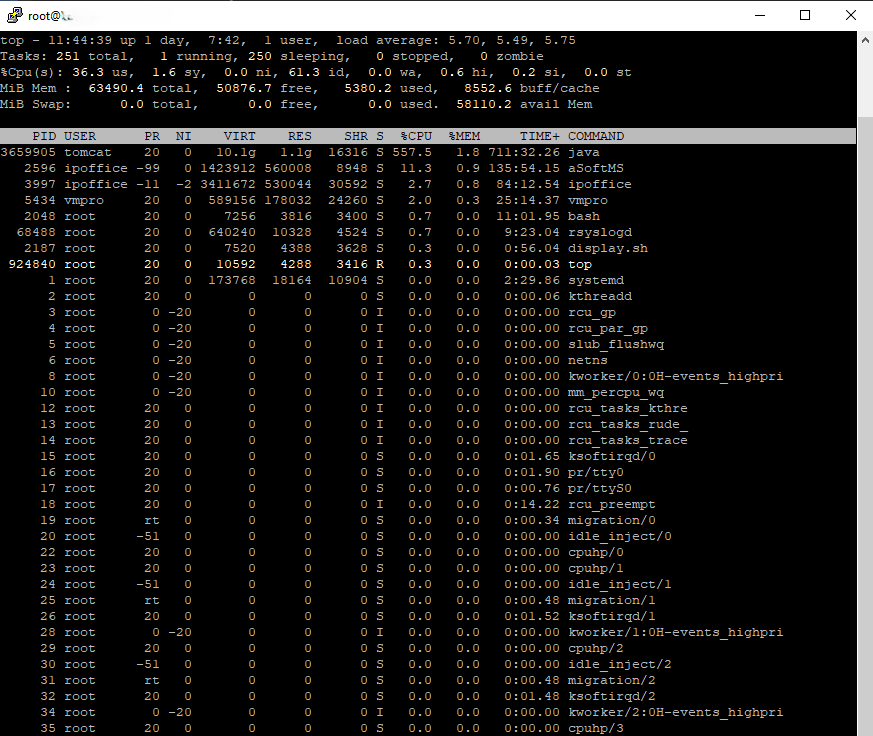 Avaya IP Office CLI runaway Java process